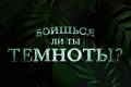 Боишься ли ты темноты?